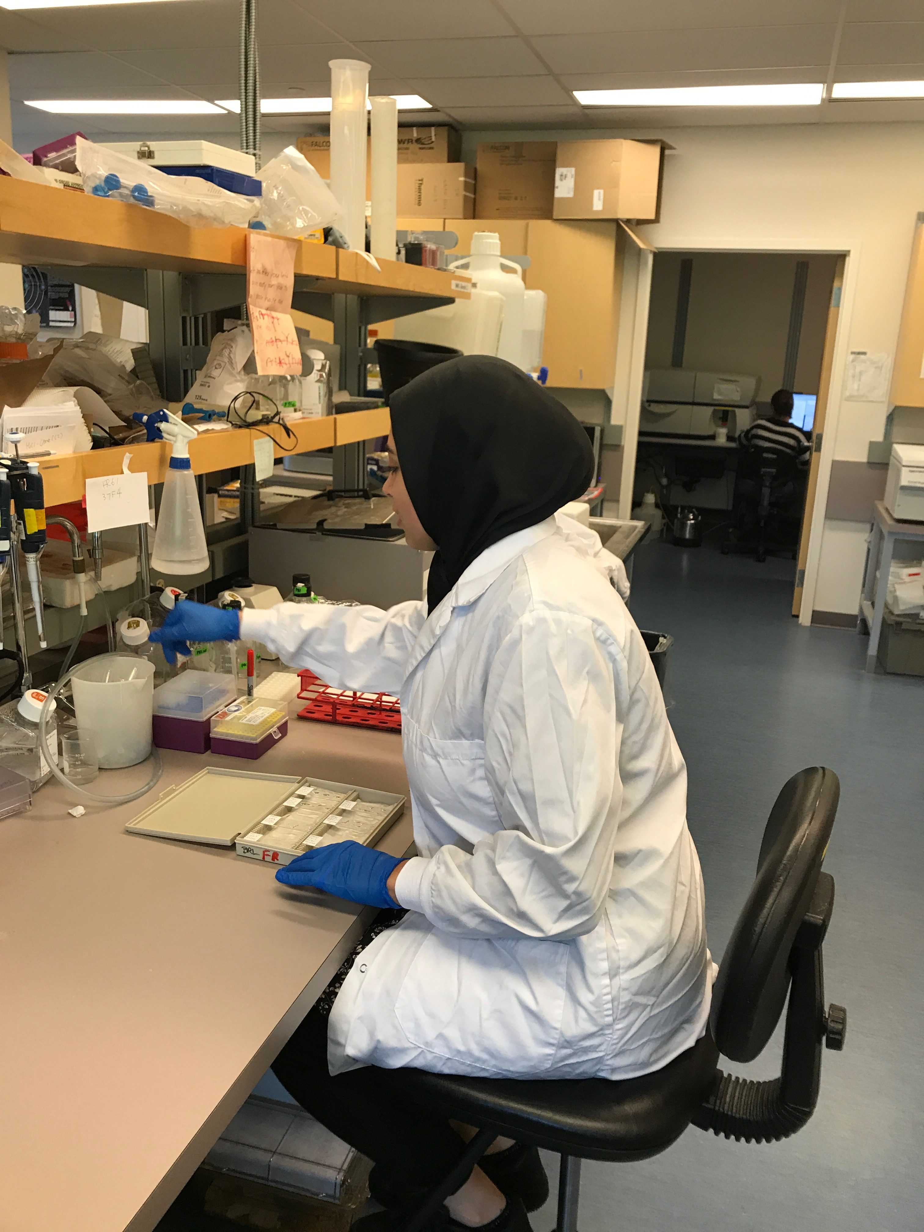 Kanada Praktikum in Vancouver AvicennaStudienwerk e.V.