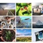 Viele Kacheln mit unterschiedlichen Stock-Bildern zum Thema Umwelt und Natur