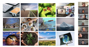 Viele Kacheln mit unterschiedlichen Stock-Bildern zum Thema Umwelt und Natur